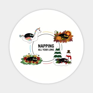 Four Season Cat Naps (Summer, Fall, Winter, Spring) Magnet